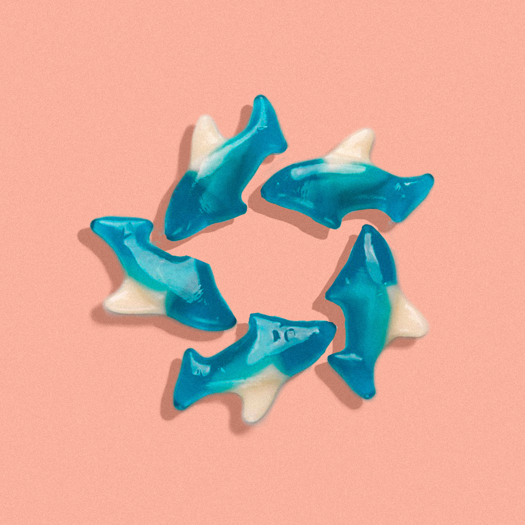 Gummi Blue Sharks